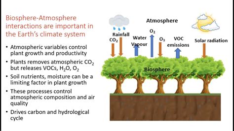 Explain How The Biosphere Interacts With The Atmosphere