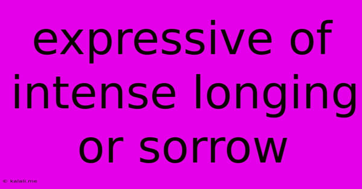 Expressive Of Intense Longing Or Sorrow