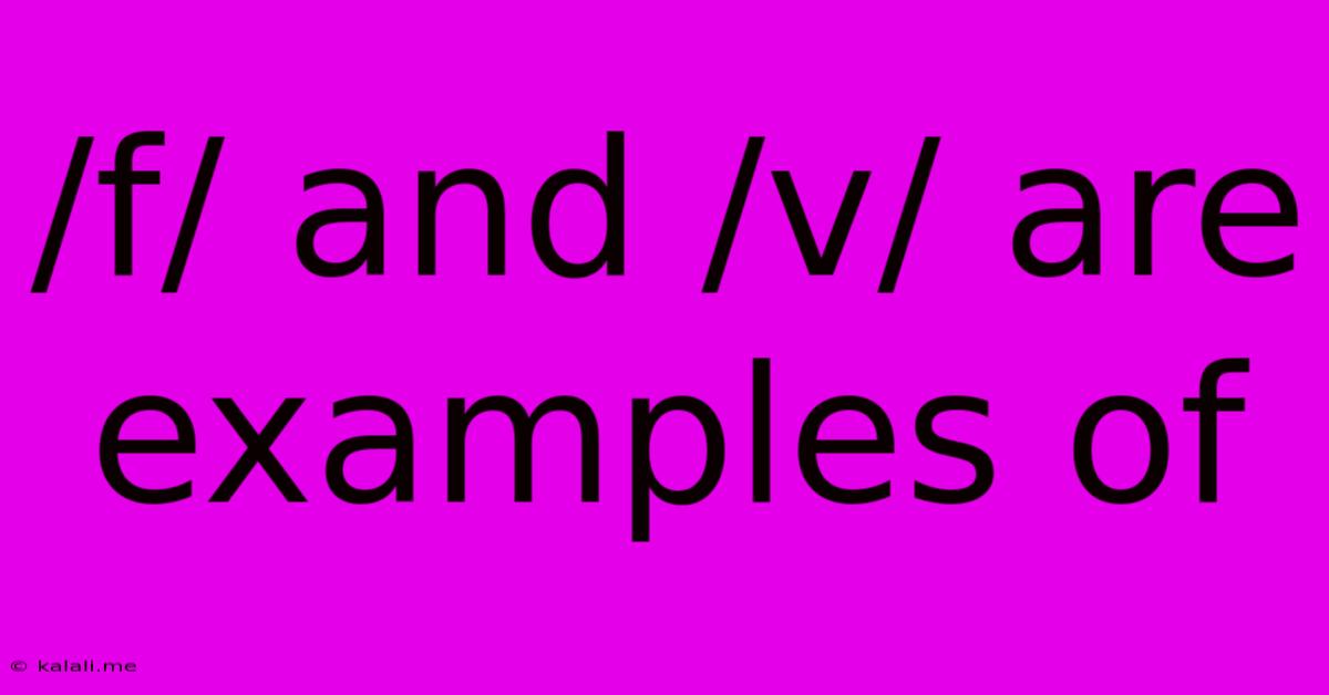 /f/ And /v/ Are Examples Of