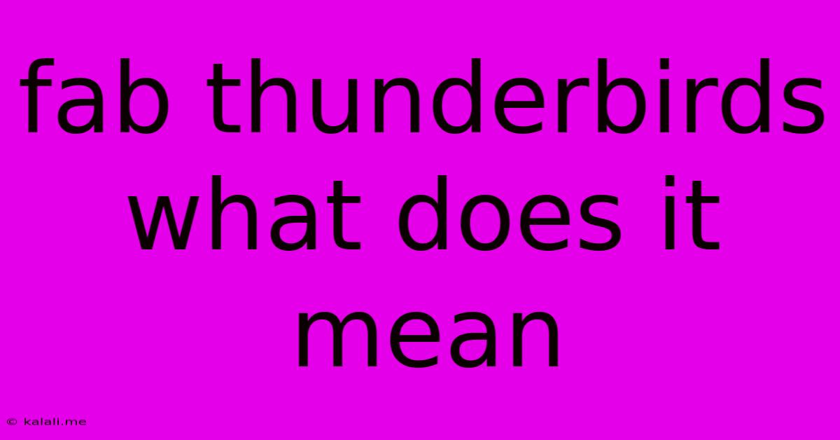 Fab Thunderbirds What Does It Mean