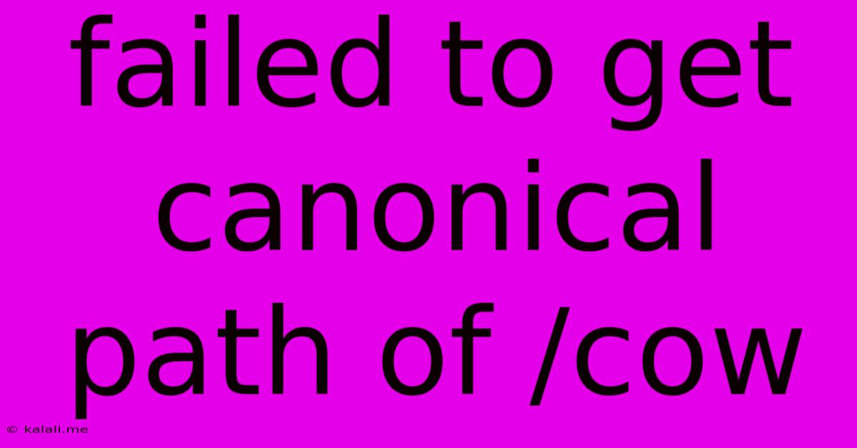 Failed To Get Canonical Path Of /cow