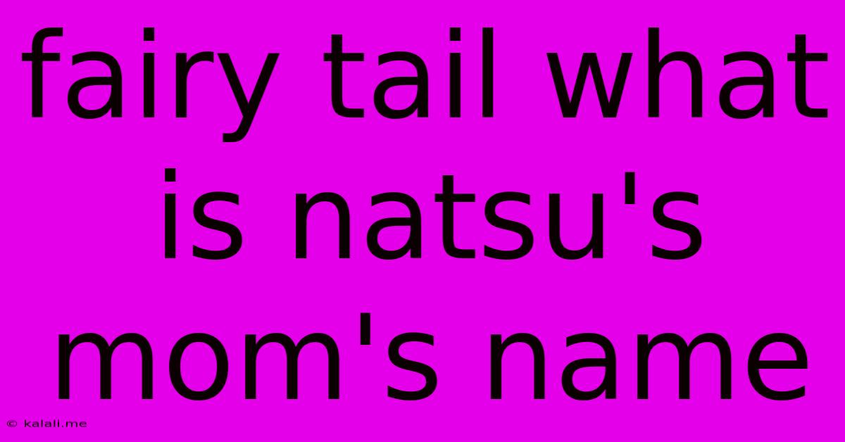 Fairy Tail What Is Natsu's Mom's Name