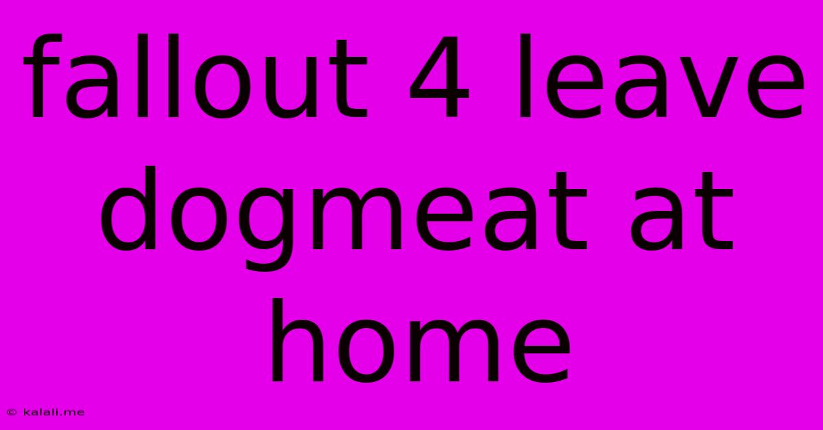 Fallout 4 Leave Dogmeat At Home