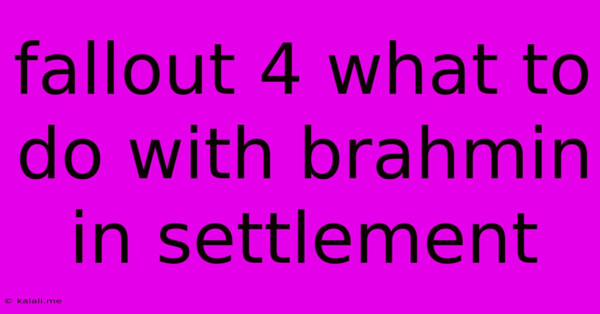 Fallout 4 What To Do With Brahmin In Settlement