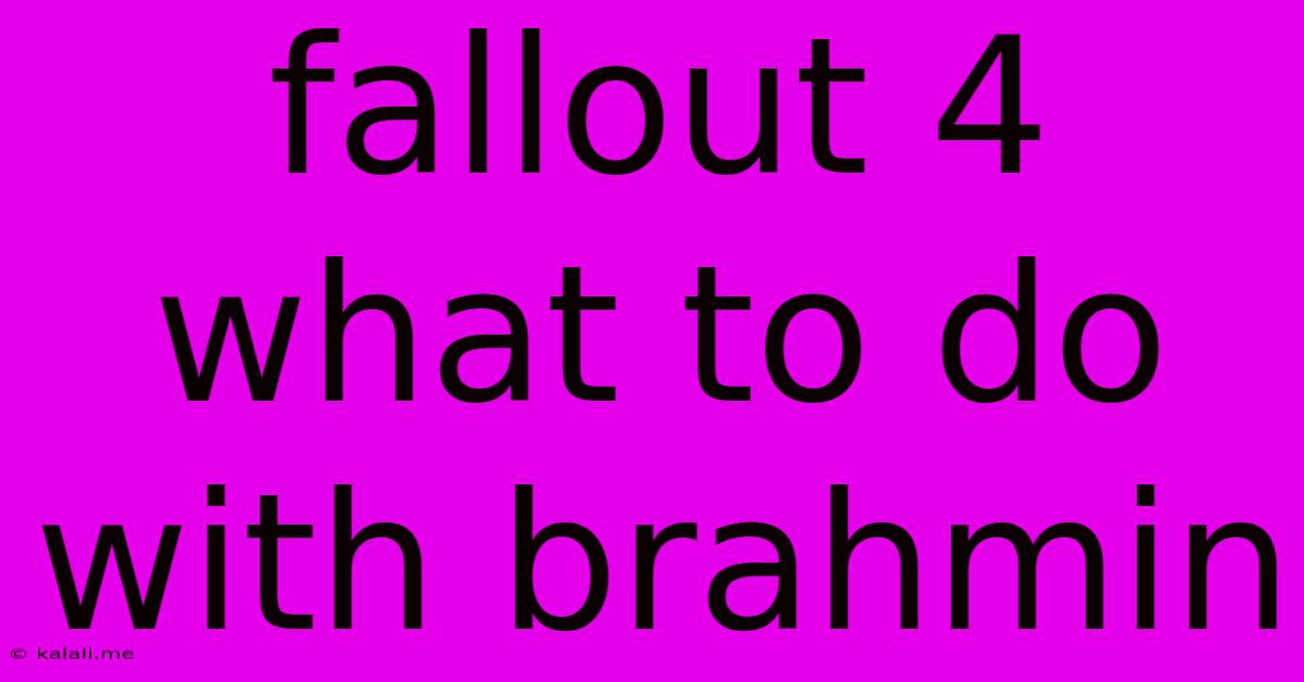 Fallout 4 What To Do With Brahmin