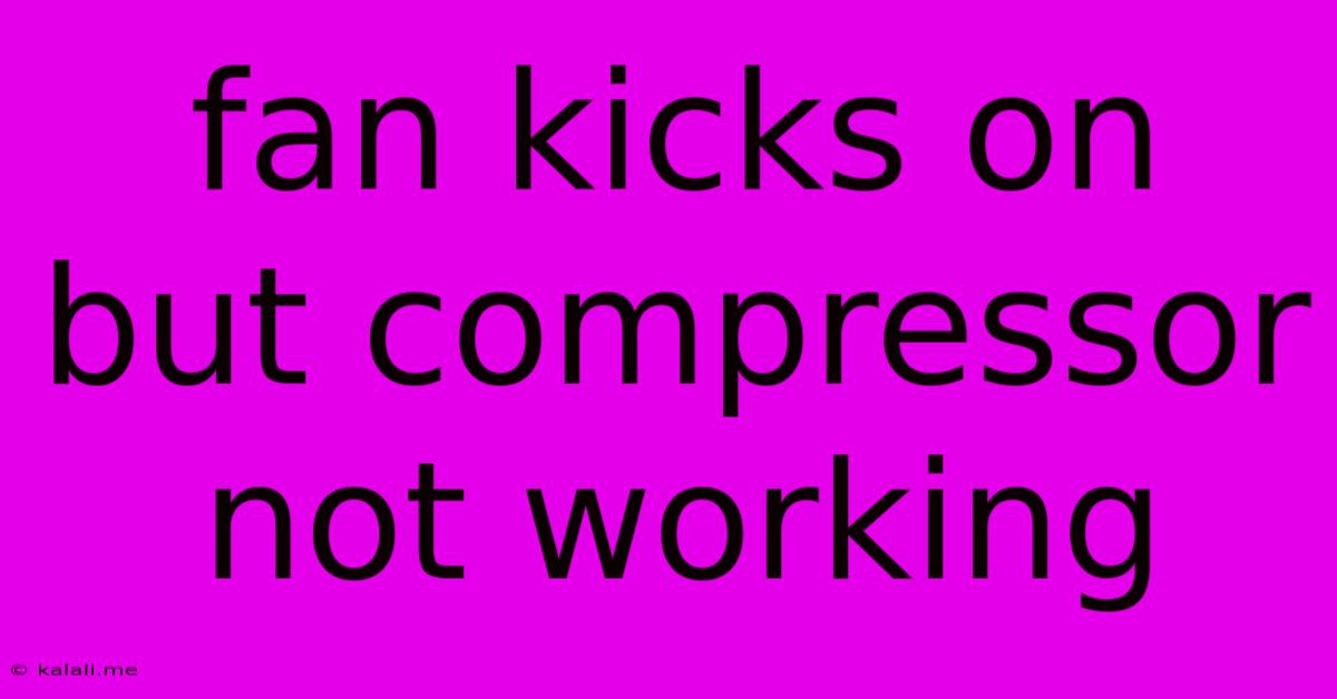 Fan Kicks On But Compressor Not Working