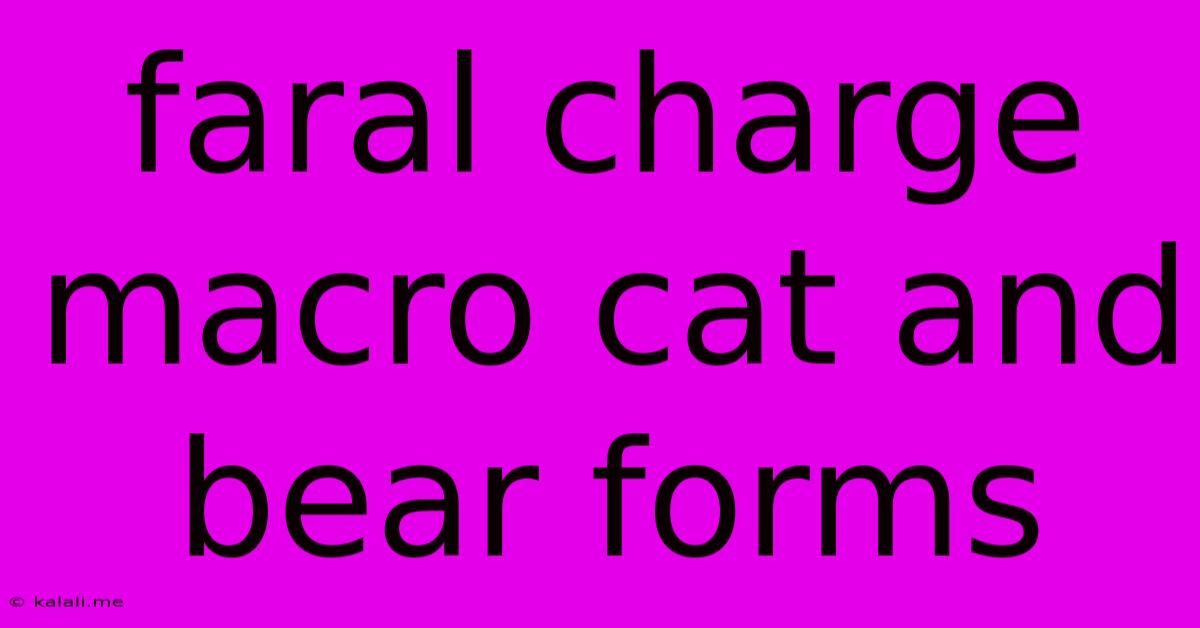 Faral Charge Macro Cat And Bear Forms