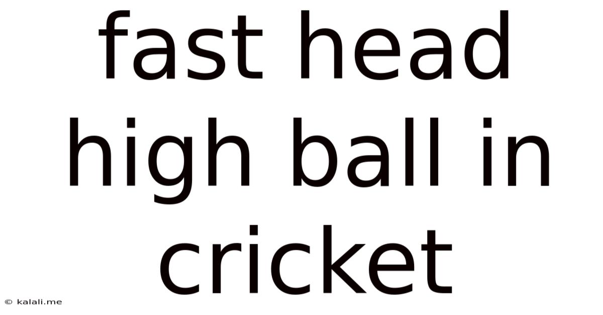 Fast Head High Ball In Cricket