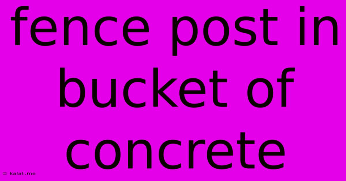 Fence Post In Bucket Of Concrete