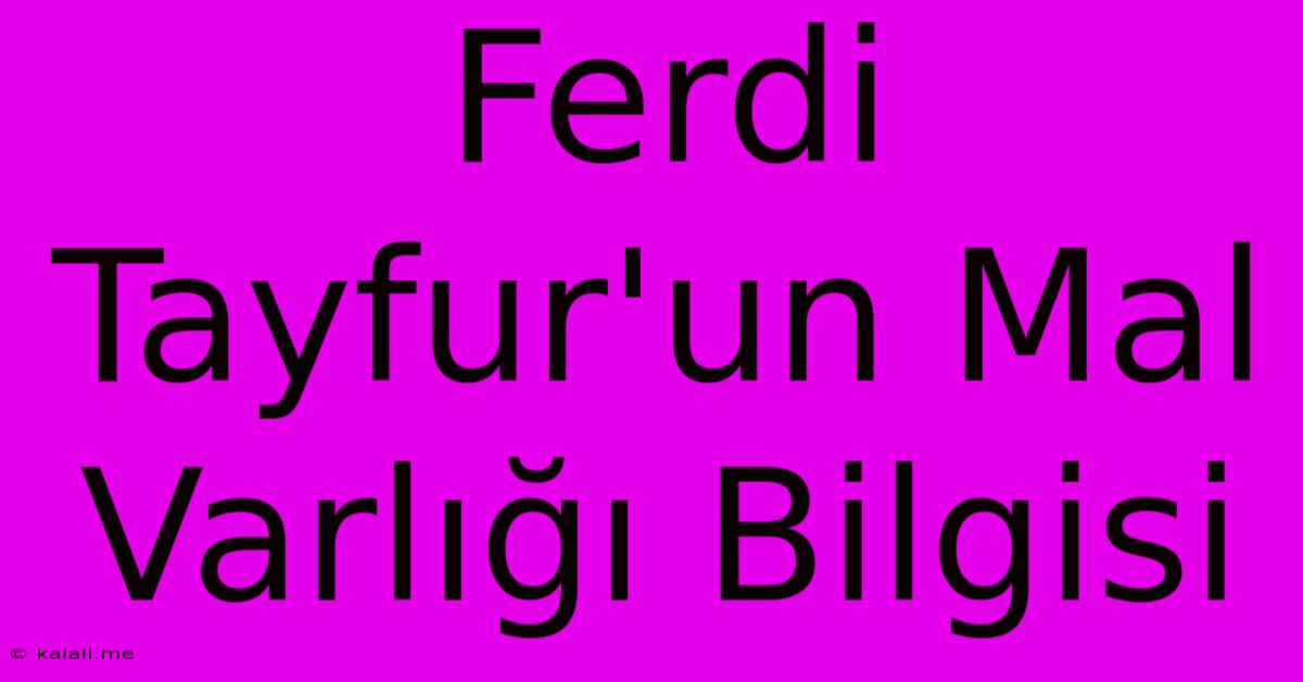 Ferdi Tayfur'un Mal Varlığı Bilgisi