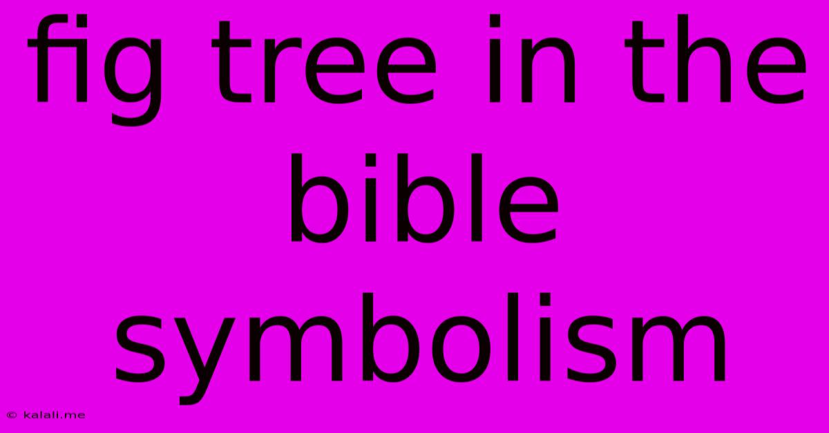 Fig Tree In The Bible Symbolism