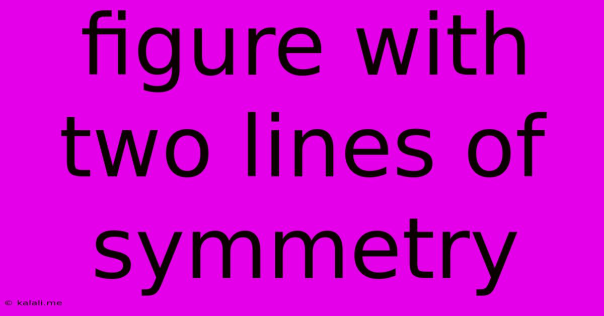 Figure With Two Lines Of Symmetry
