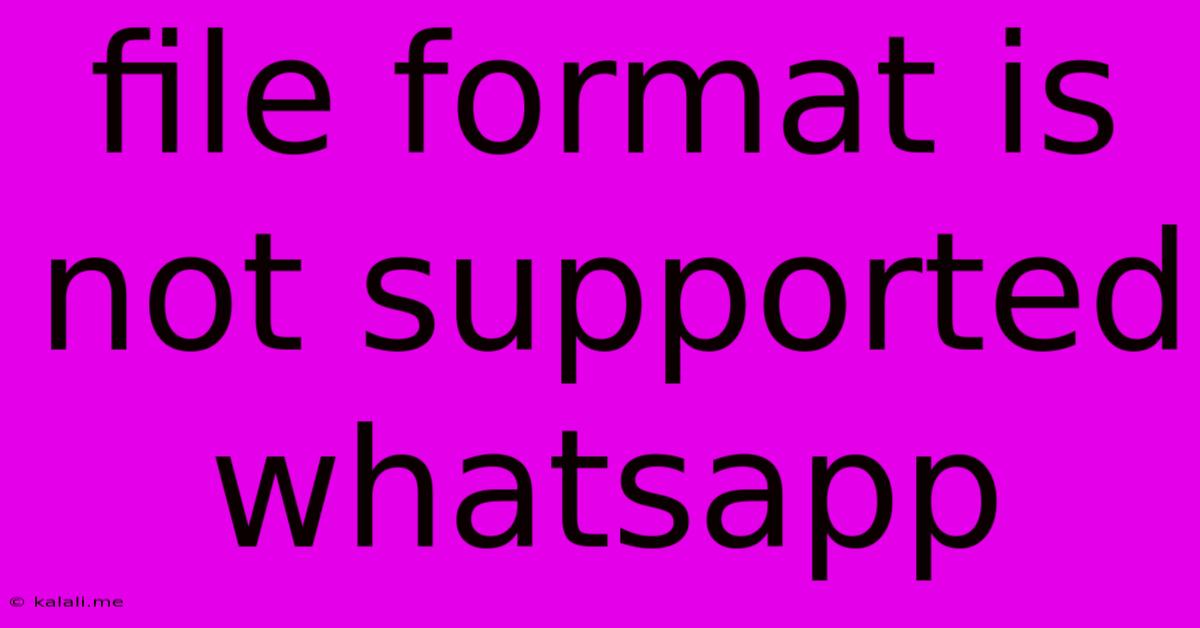 File Format Is Not Supported Whatsapp