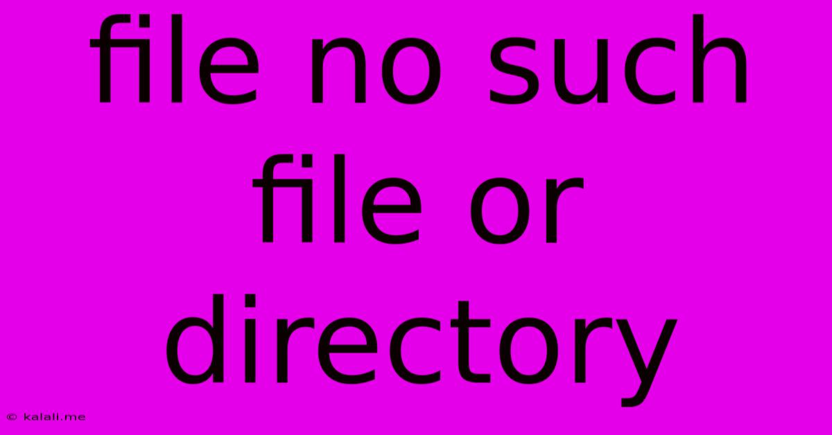 File No Such File Or Directory