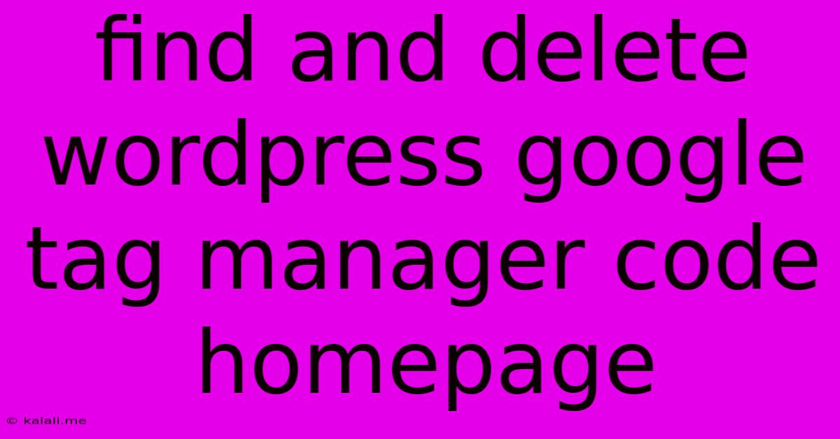 Find And Delete Wordpress Google Tag Manager Code Homepage