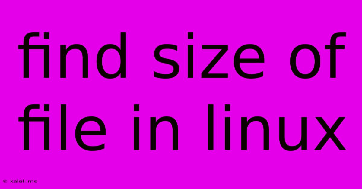 Find Size Of File In Linux