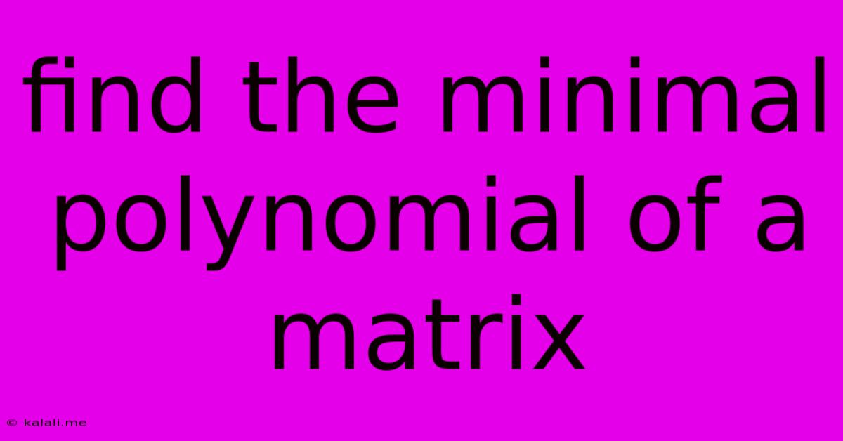 Find The Minimal Polynomial Of A Matrix