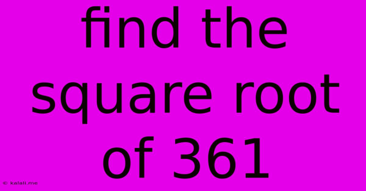 Find The Square Root Of 361