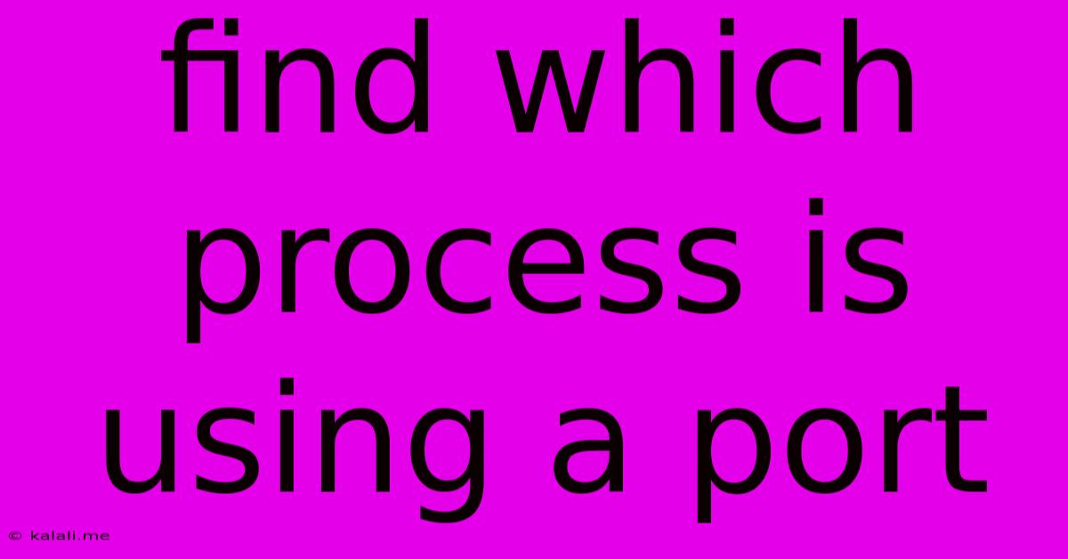 Find Which Process Is Using A Port
