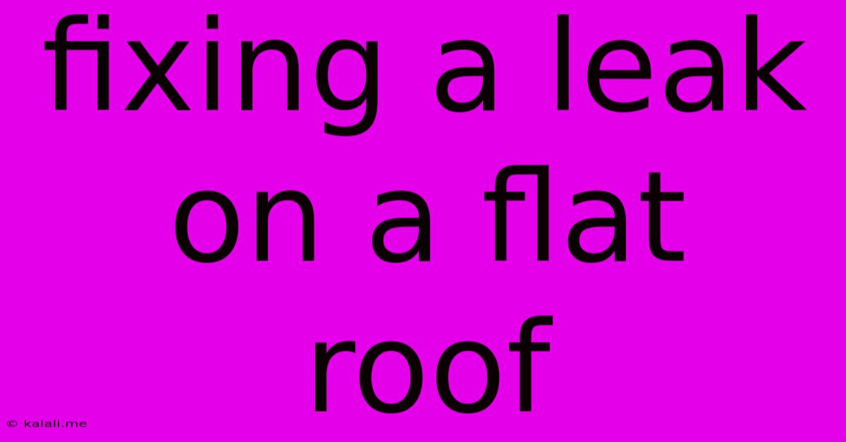 Fixing A Leak On A Flat Roof