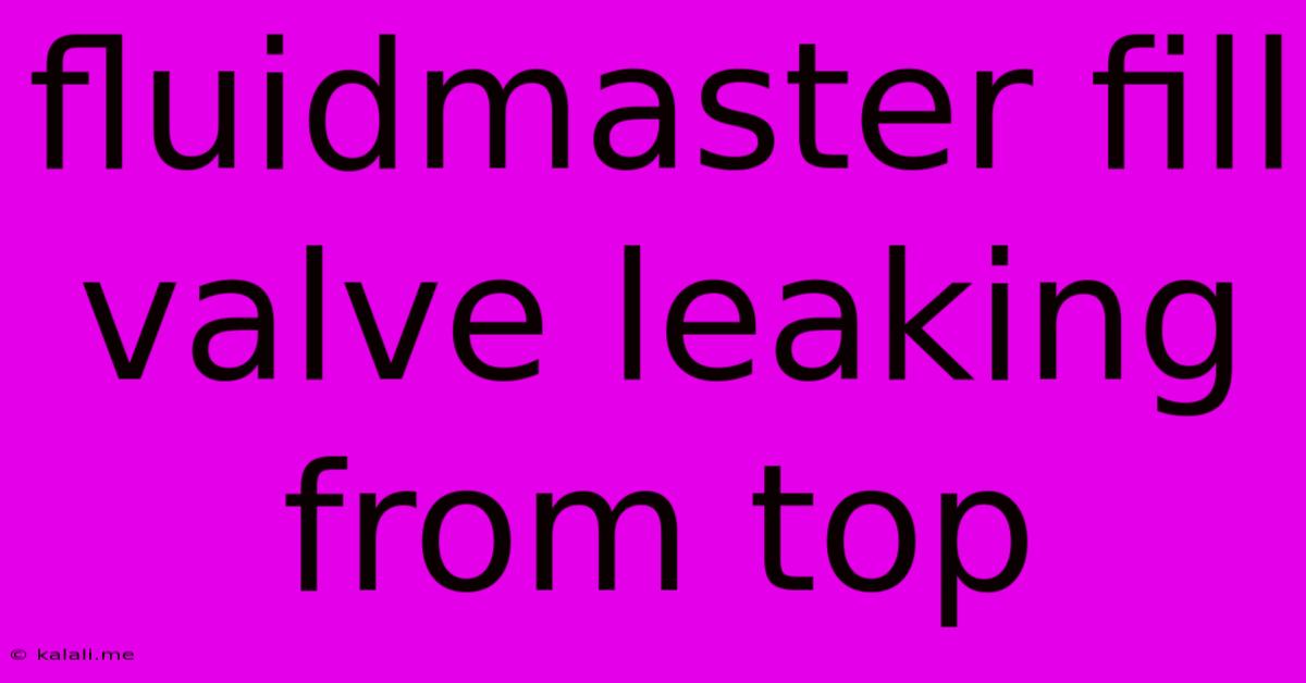 Fluidmaster Fill Valve Leaking From Top
