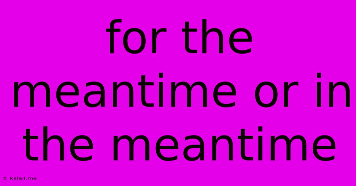 For The Meantime Or In The Meantime