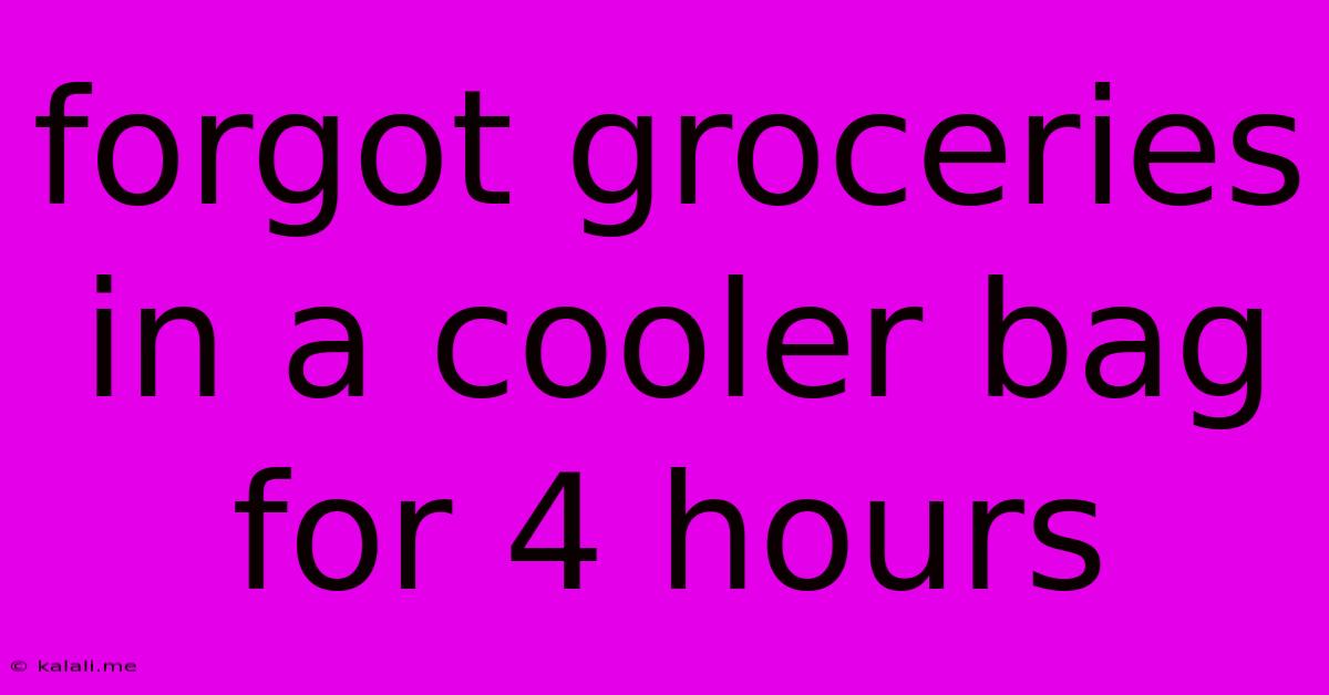 Forgot Groceries In A Cooler Bag For 4 Hours