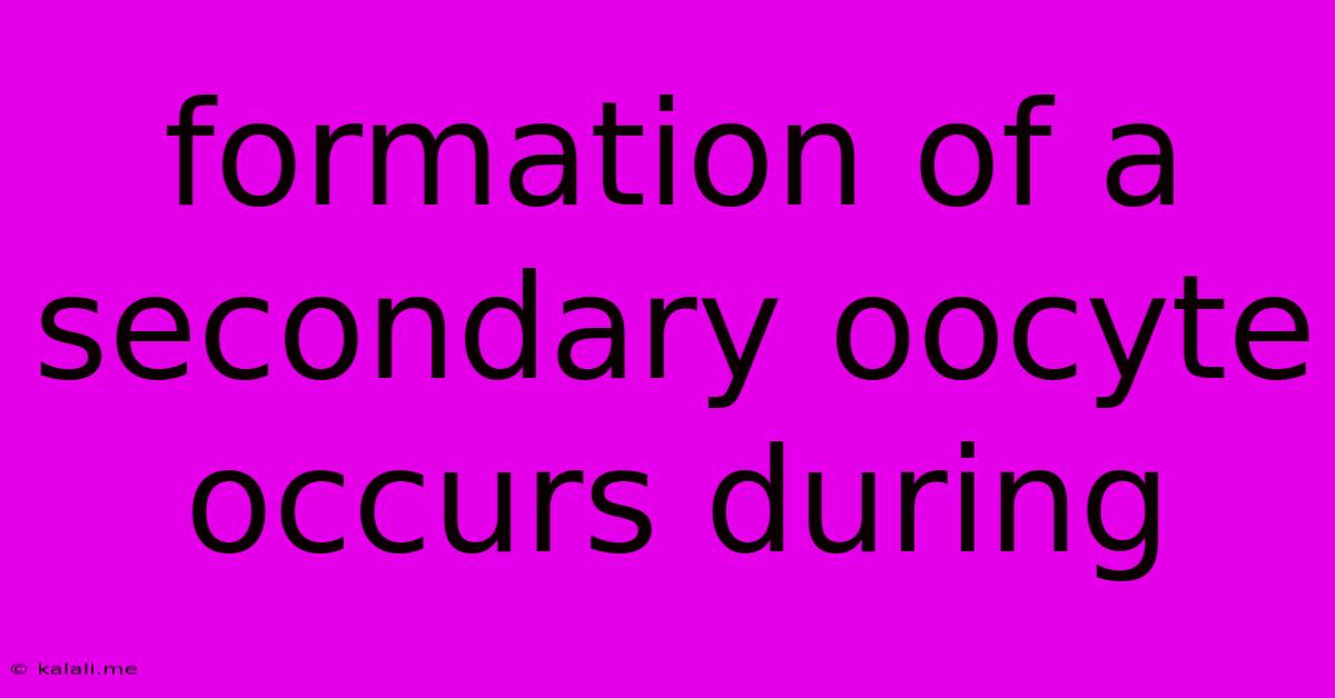 Formation Of A Secondary Oocyte Occurs During