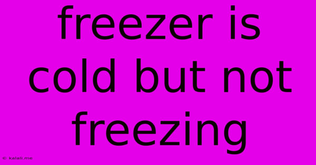 Freezer Is Cold But Not Freezing