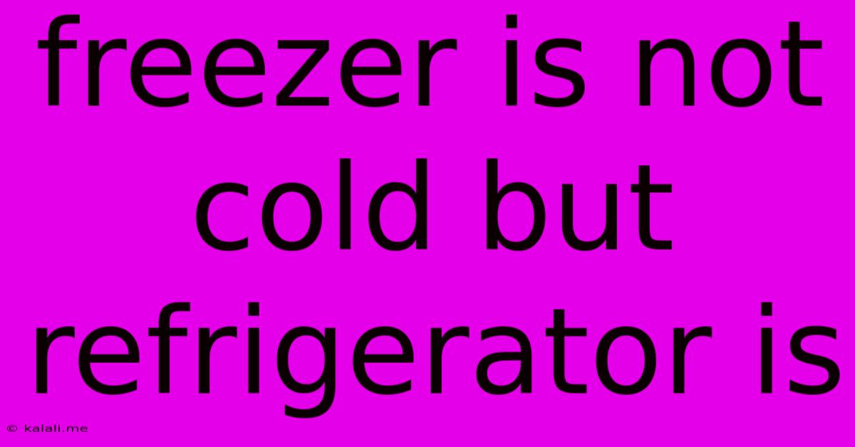 Freezer Is Not Cold But Refrigerator Is