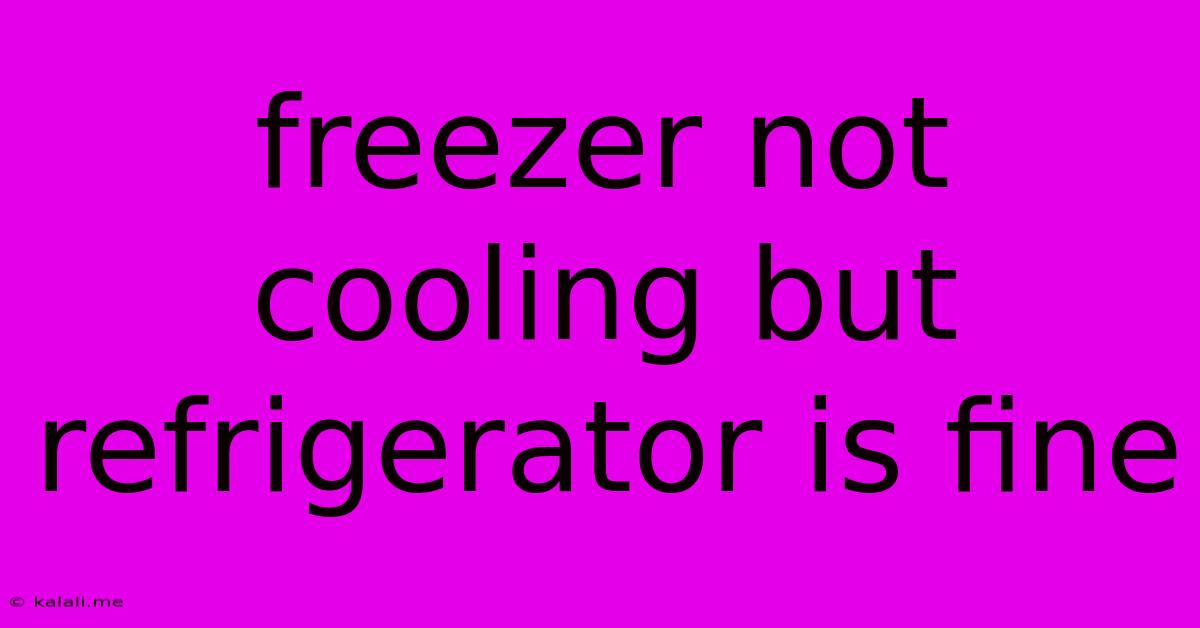 Freezer Not Cooling But Refrigerator Is Fine
