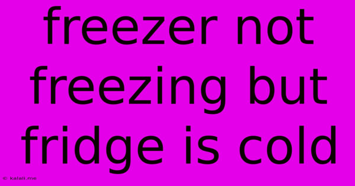Freezer Not Freezing But Fridge Is Cold