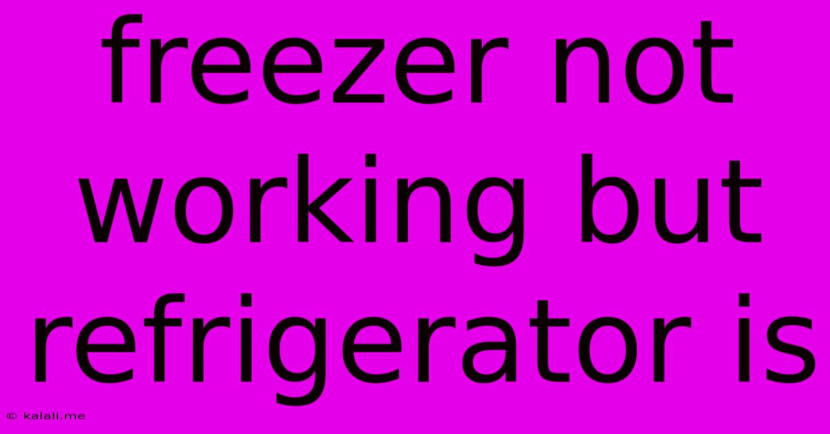 Freezer Not Working But Refrigerator Is