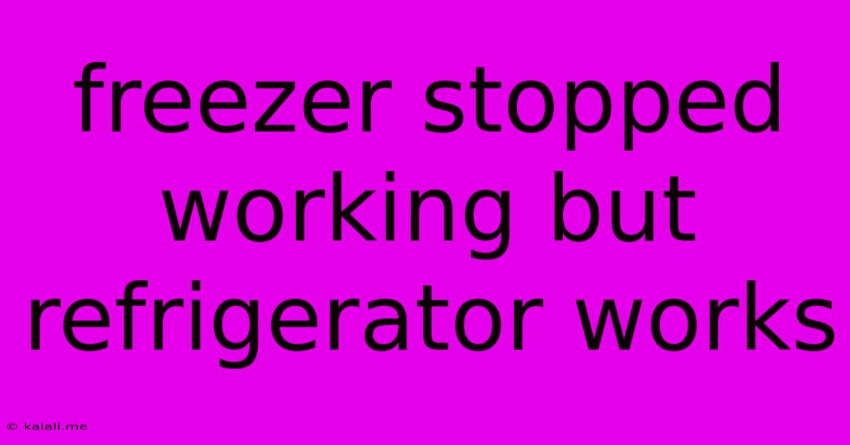 Freezer Stopped Working But Refrigerator Works