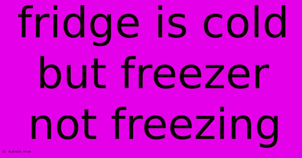Fridge Is Cold But Freezer Not Freezing