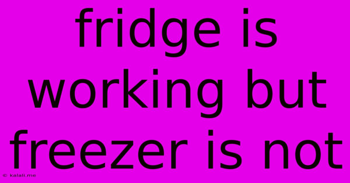 Fridge Is Working But Freezer Is Not