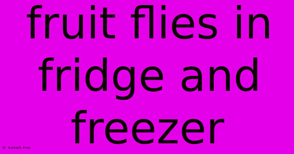 Fruit Flies In Fridge And Freezer