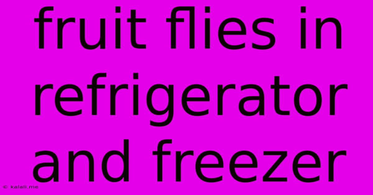 Fruit Flies In Refrigerator And Freezer