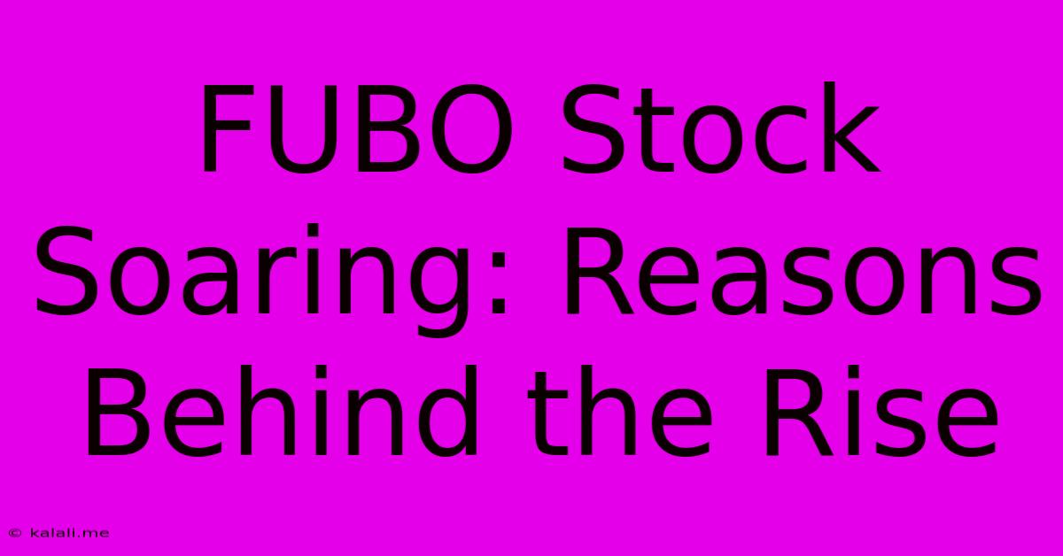 FUBO Stock Soaring: Reasons Behind The Rise