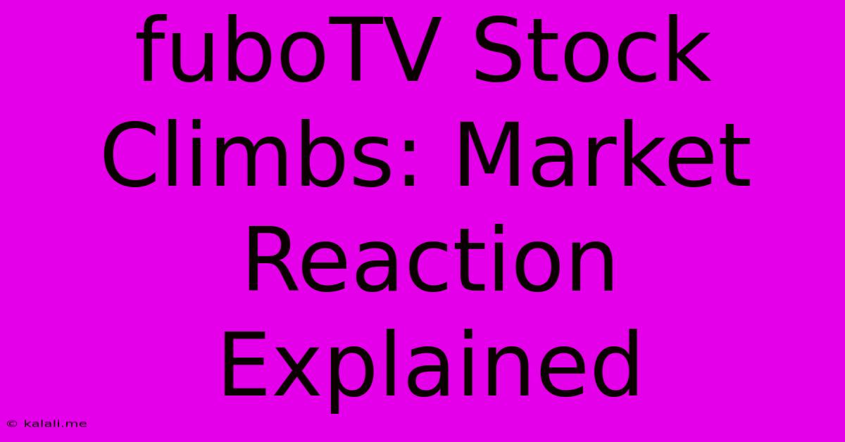 FuboTV Stock Climbs: Market Reaction Explained