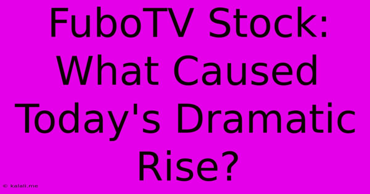 FuboTV Stock: What Caused Today's Dramatic Rise?