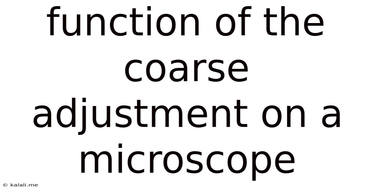 Function Of The Coarse Adjustment On A Microscope