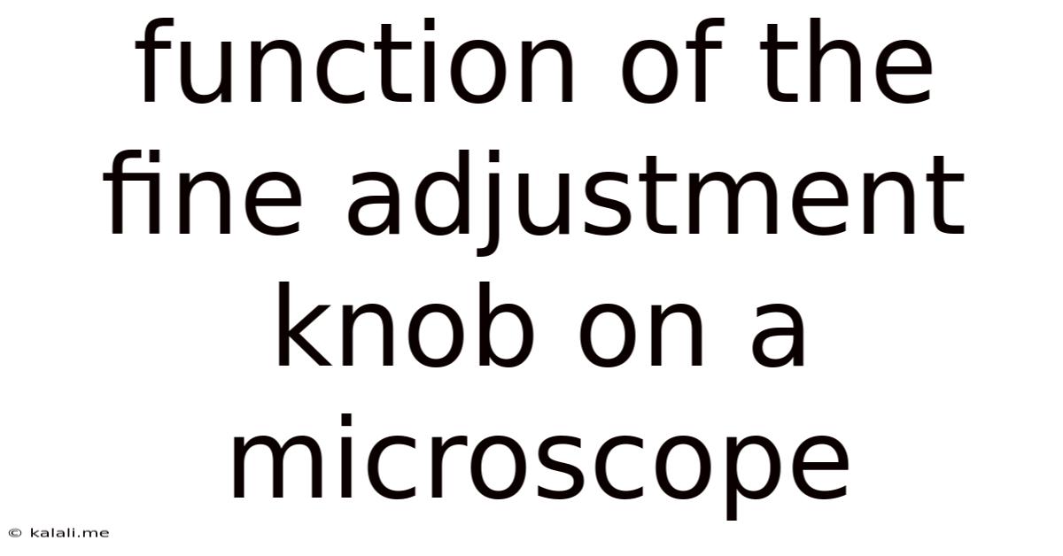 Function Of The Fine Adjustment Knob On A Microscope