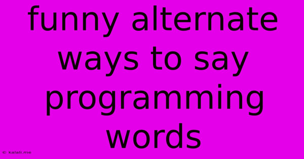 Funny Alternate Ways To Say Programming Words