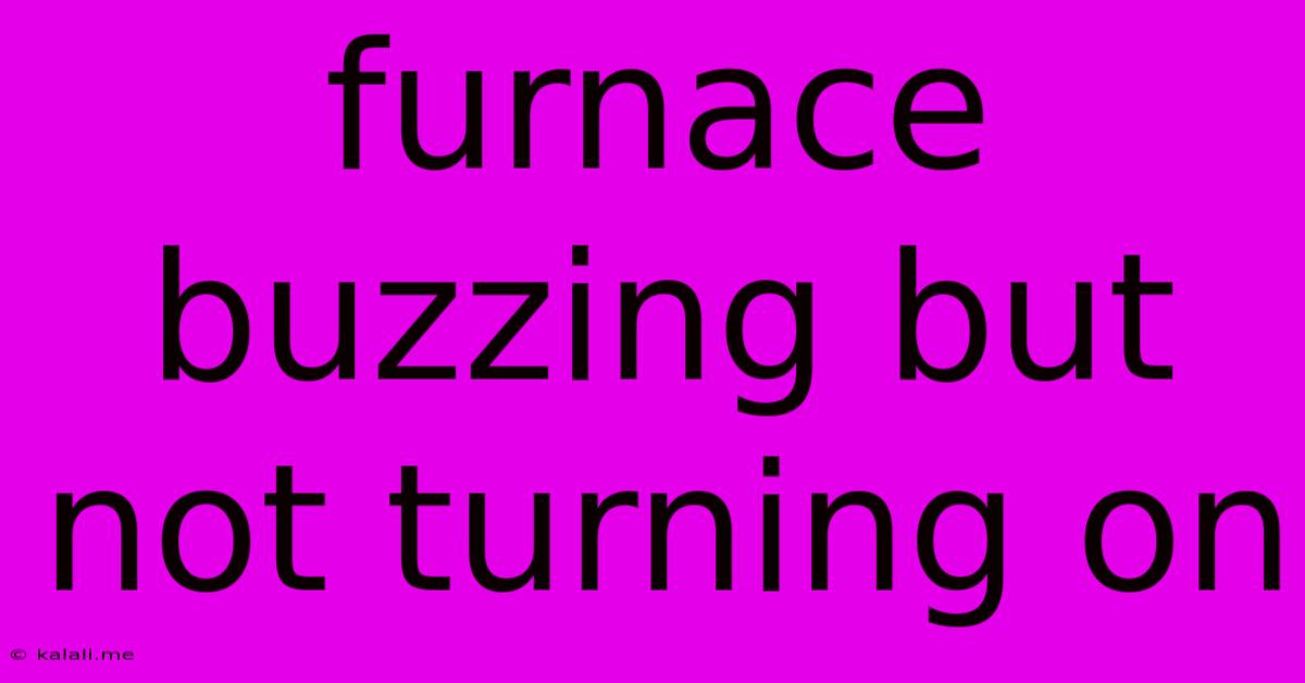 Furnace Buzzing But Not Turning On