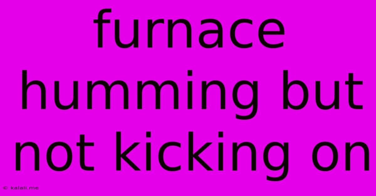 Furnace Humming But Not Kicking On