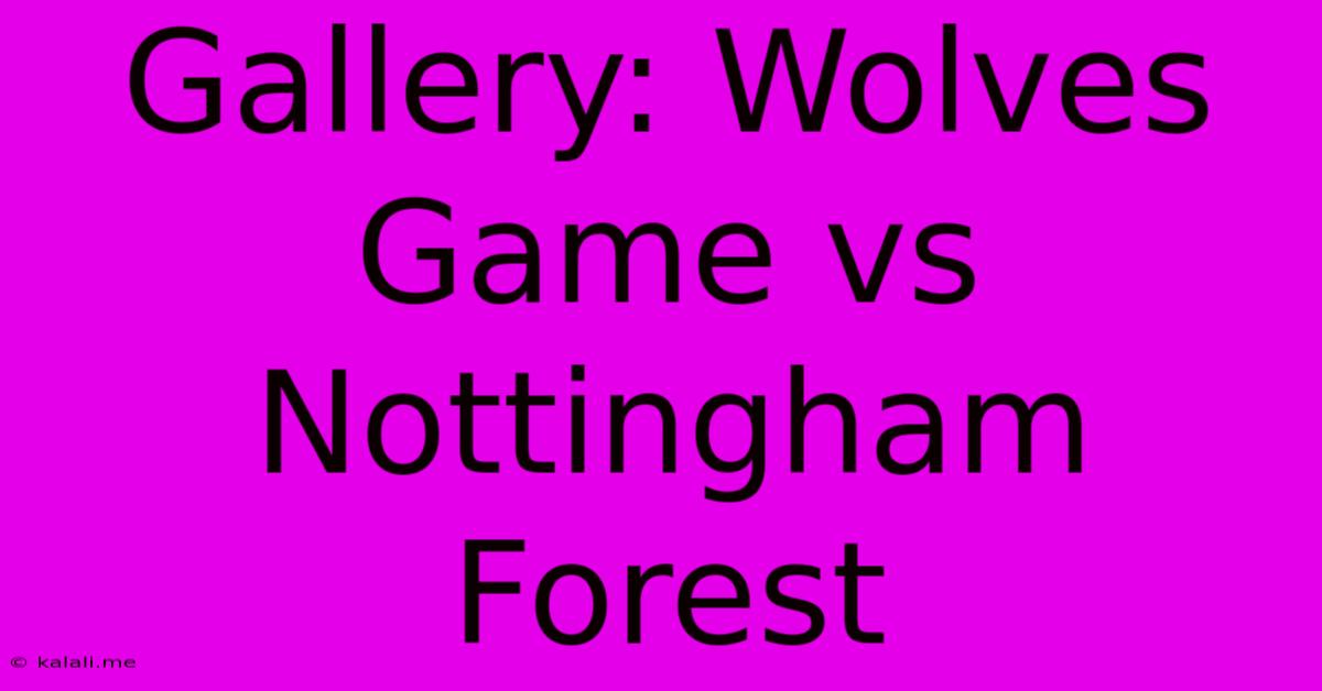 Gallery: Wolves Game Vs Nottingham Forest