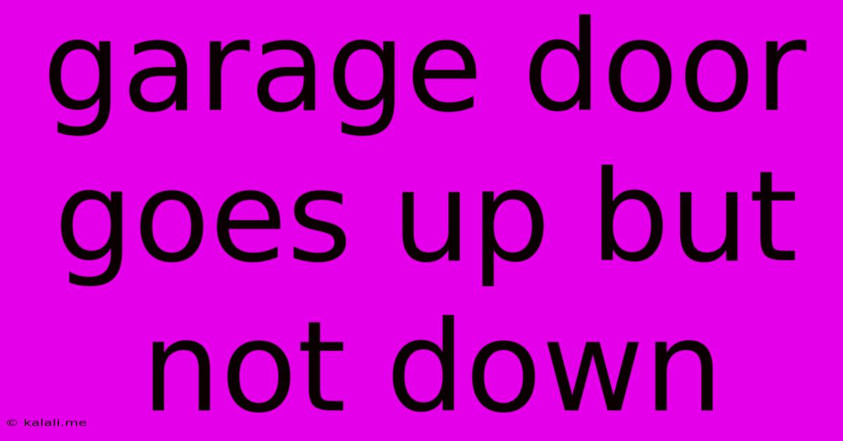 Garage Door Goes Up But Not Down