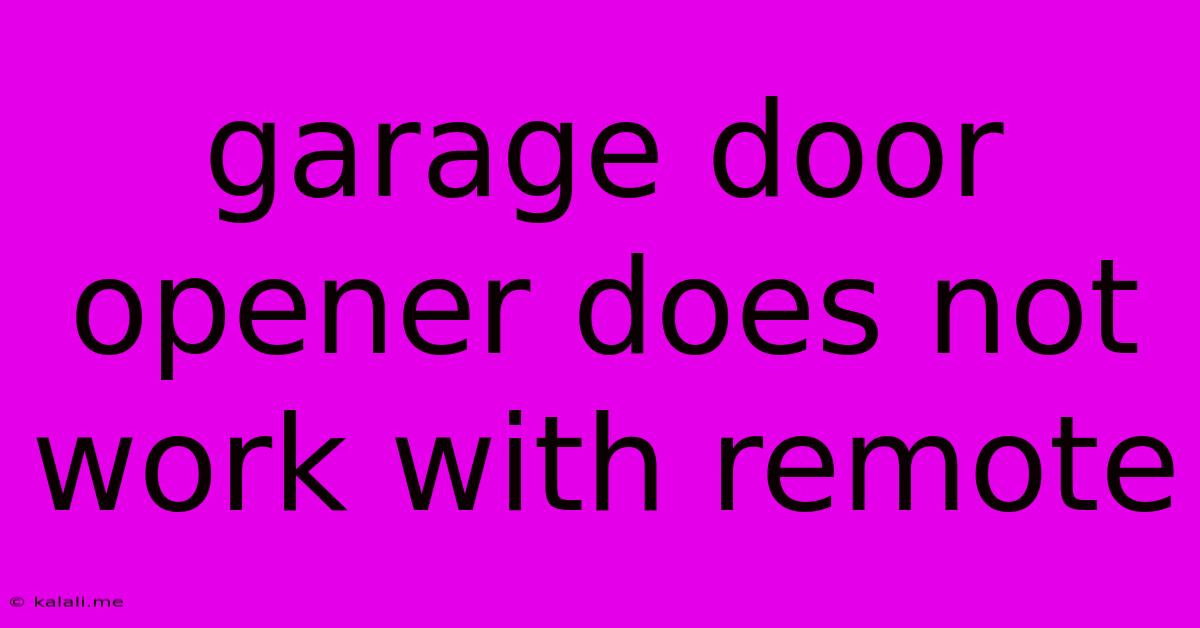 Garage Door Opener Does Not Work With Remote
