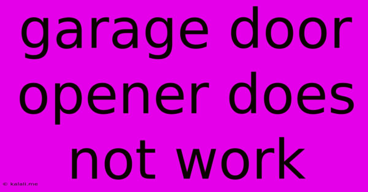 Garage Door Opener Does Not Work